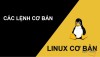 Các lệnh cơ bản trong Linux