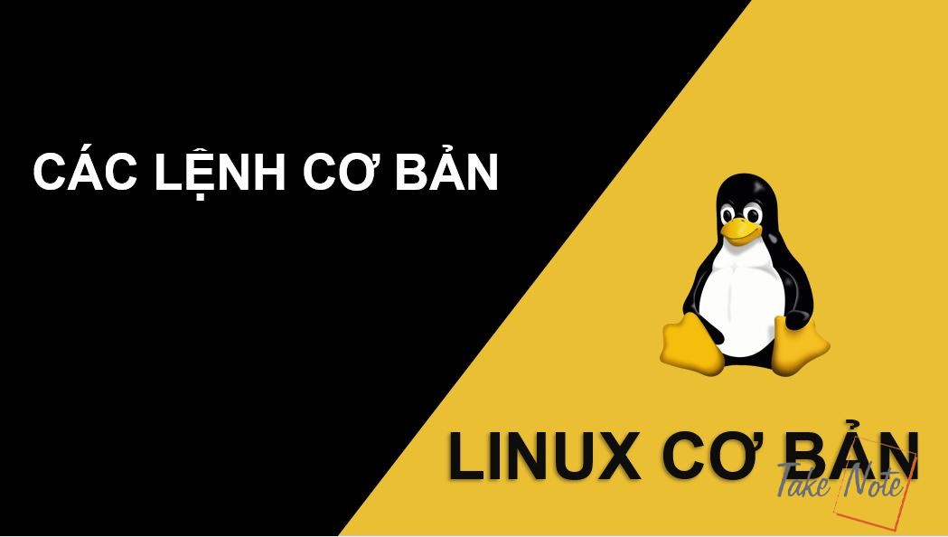 Linux cli basic
