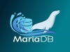cấu hình MariaDB 11 server để đáp ứng 10.000 học viên truy cập Moodle